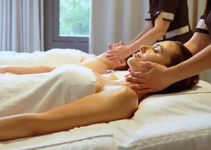 Hôtel&spa Les Bains D'arguin By Thalazur Hotel 4*